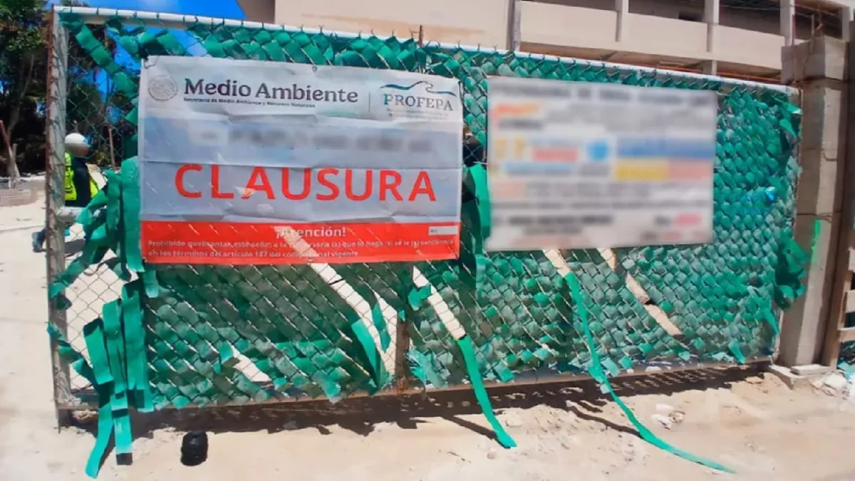 Environmental Win Halts Puerto Morelos Condo Construction