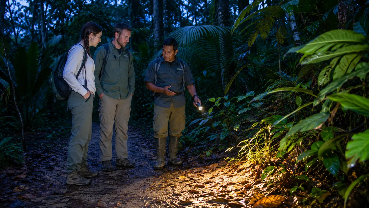Night Walks Reveal a Different Side of Boquete’s Nature