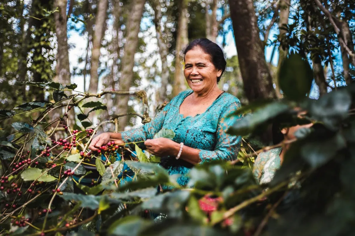 From Farm to Cup: How Bali Beans Coffee Is Empowering Local Farmers and Changing Bali’s Coffee Landscape