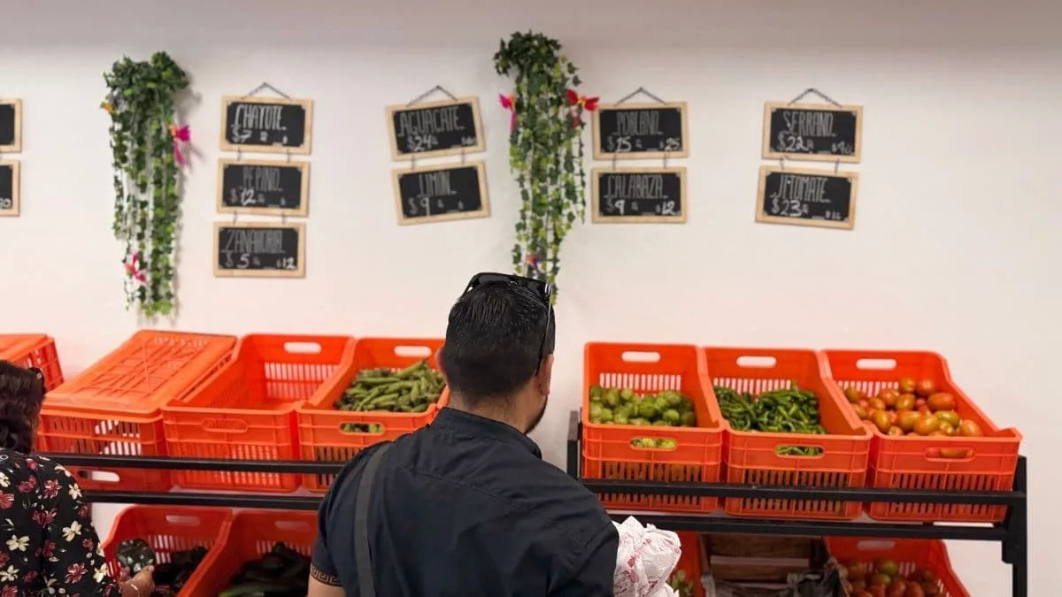 Celebrate the 15th of September in Mexico City: A Guide to Local Markets and Utopias