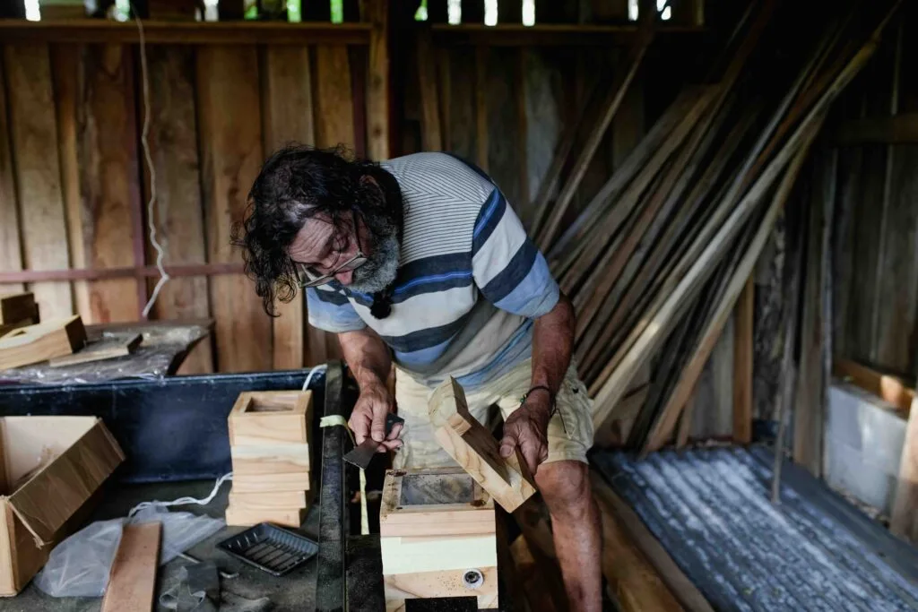 New Bee Regulation Puts Nosara’s Native Honey Producers on Edge