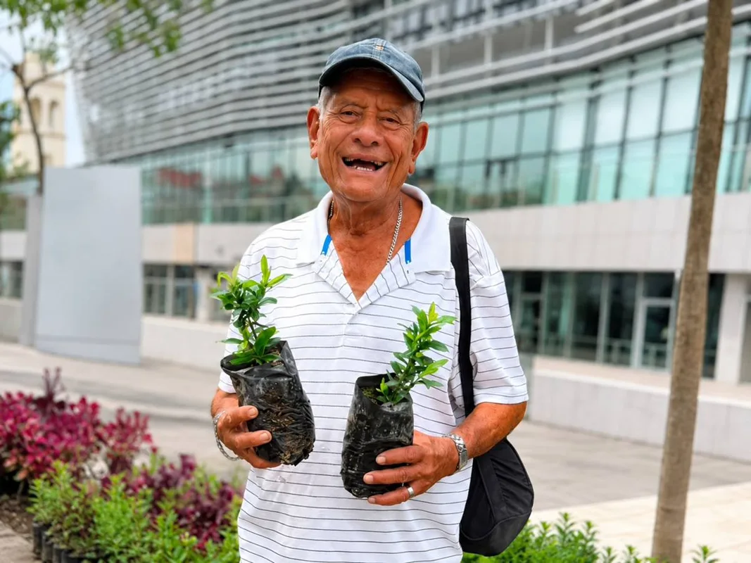 Free Trees and Plants in El Salvador: Where and When to Grab Your Greenery
